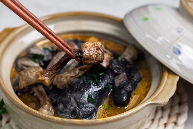 國家蘑菇地理：中國哪里的蘑菇最好吃？