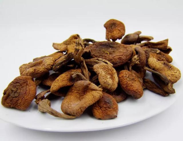 國家蘑菇地理：中國哪里的蘑菇最好吃？