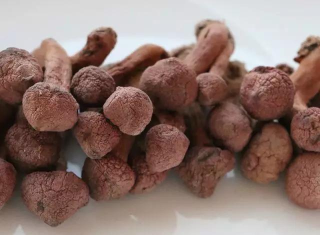 國家蘑菇地理：中國哪里的蘑菇最好吃？