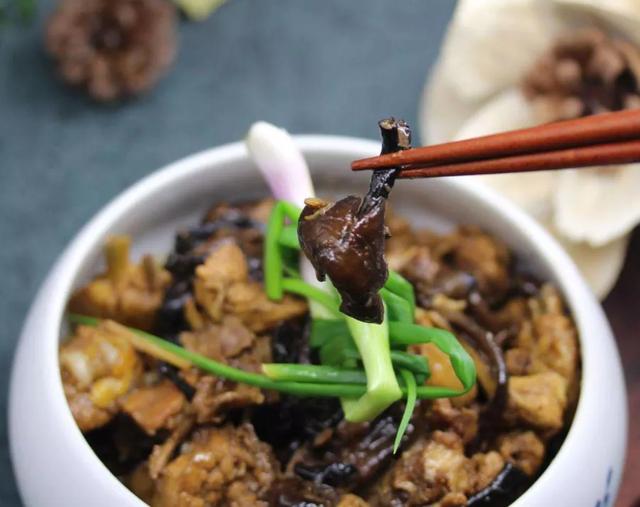 國家蘑菇地理：中國哪里的蘑菇最好吃？